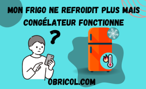 Mon Frigo Ne Refroidit Plus Mais Congelateur Fonctionnenull